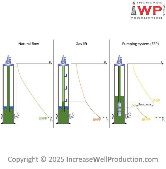 Introduction To Esp 900x900 Iwp