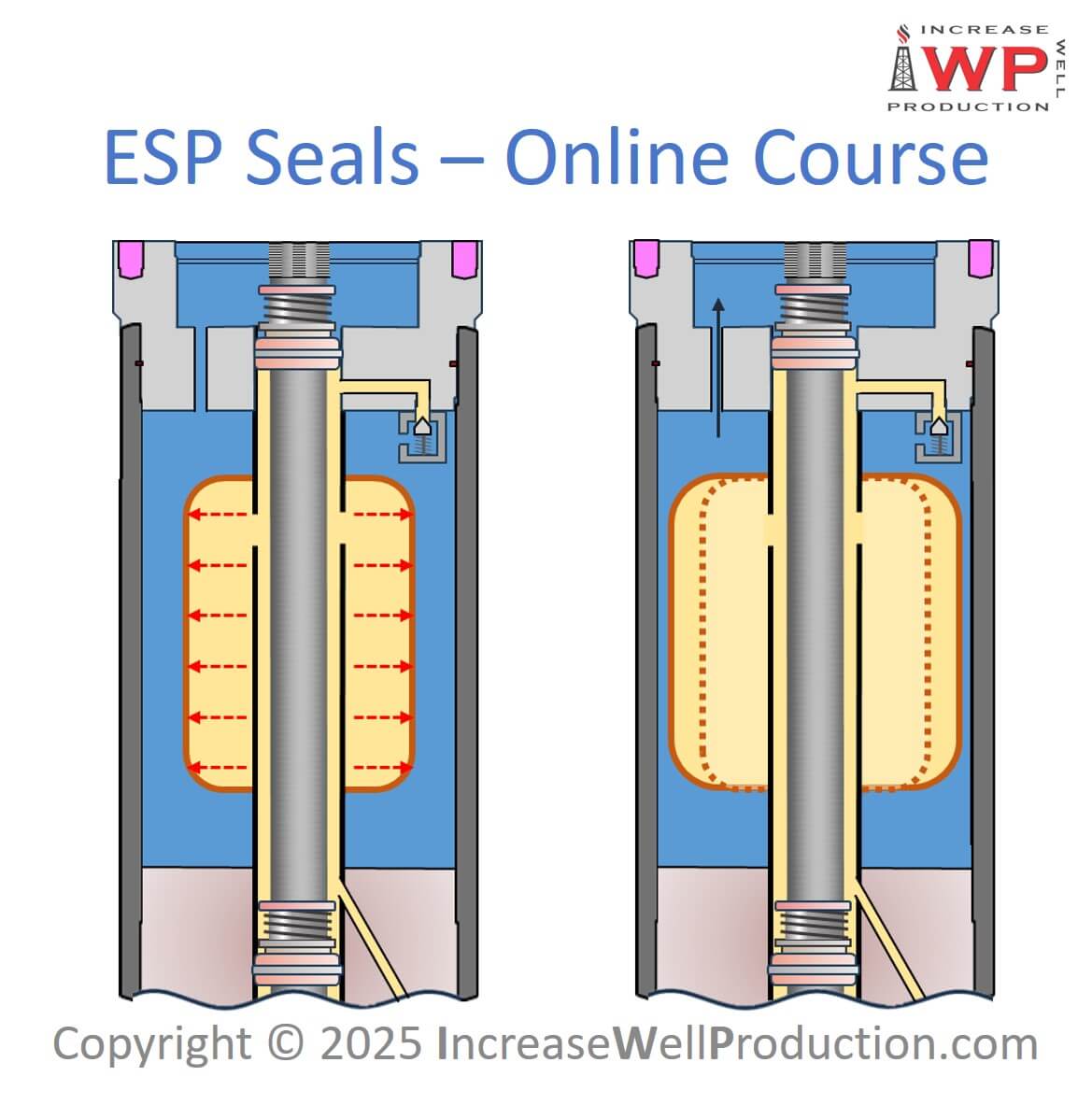 Esp protectors 900x900 iwp