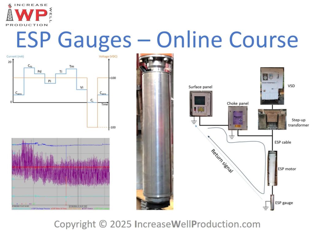 Esp gauges 1200x900 iwp
