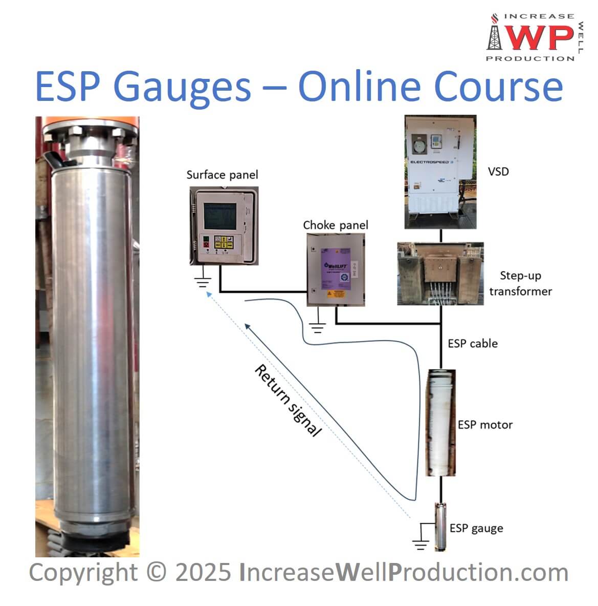 Esp gauges 900x900 iwp