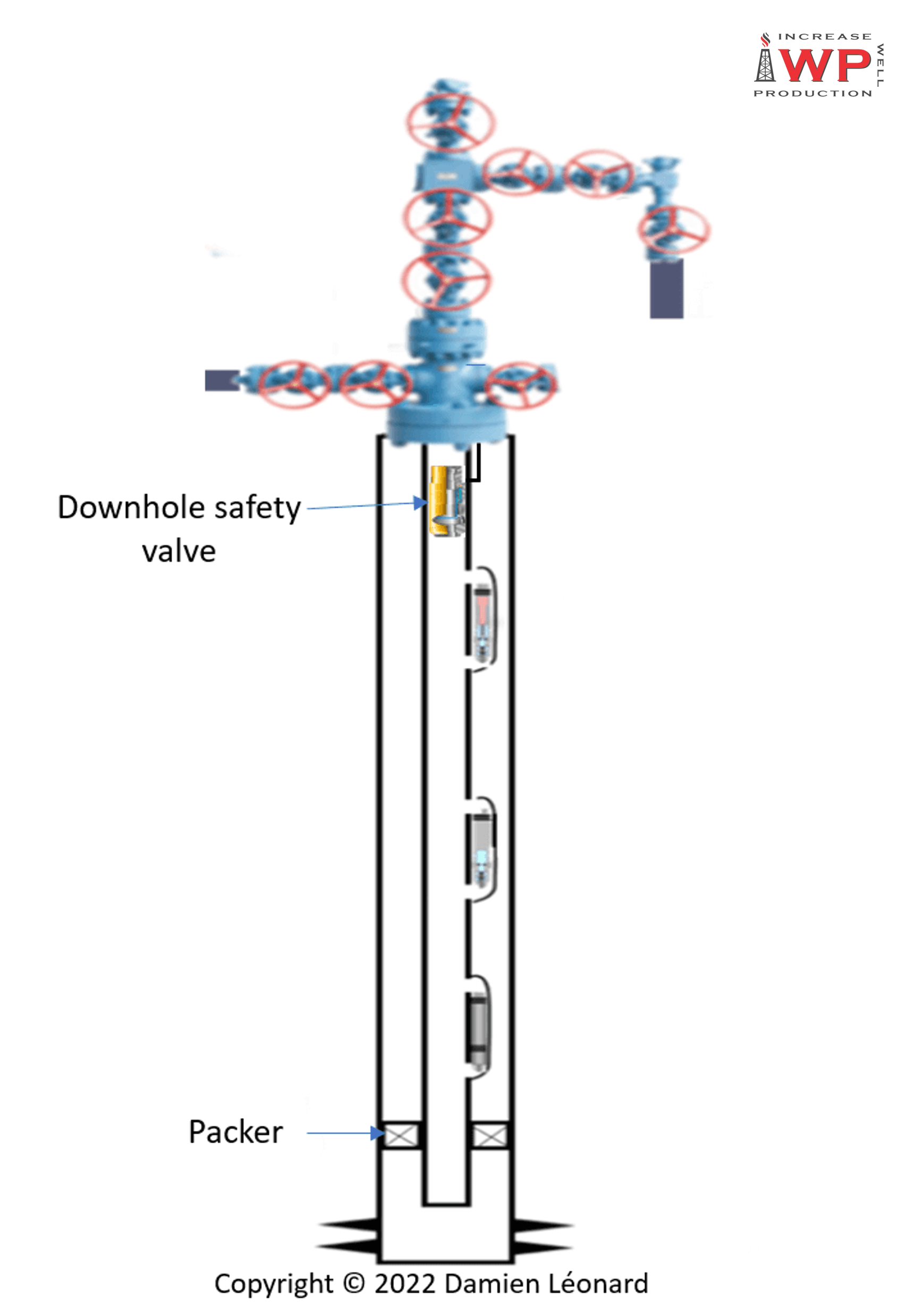 Gas Lift And Downhole Safety Valve