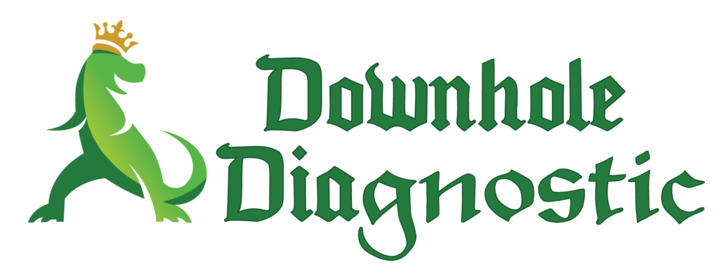 Dd Logo